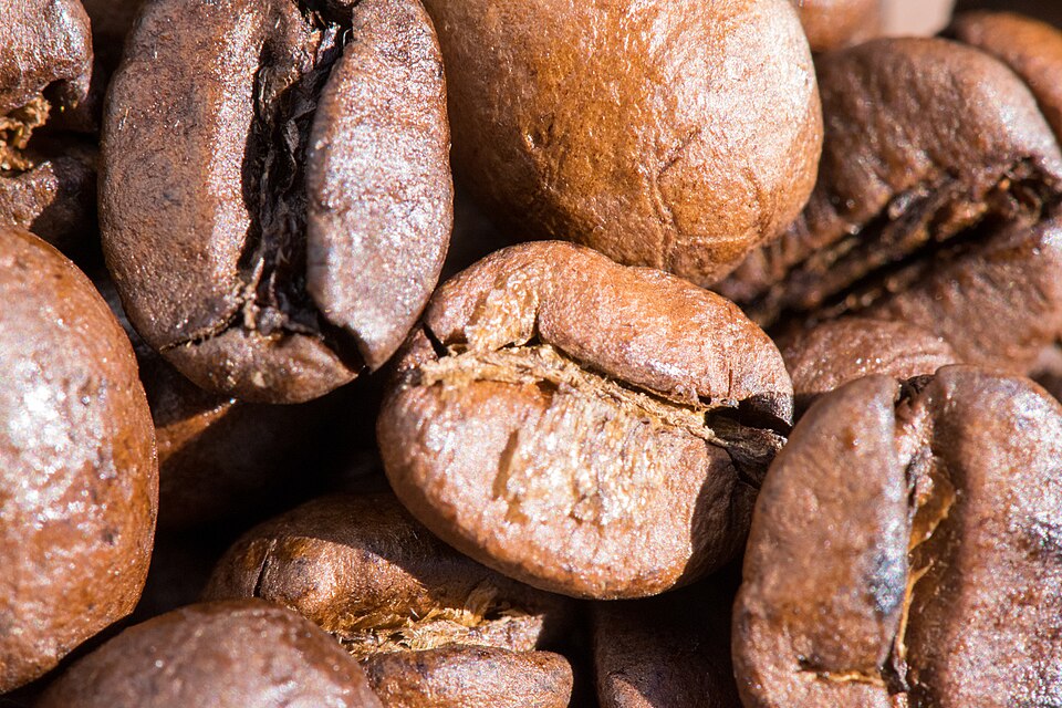 Medium Roast